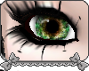 [s] Hazel Wonders Eyes
