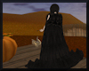 Black Vamp Cloak ~