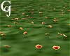 Indian Flower Patch