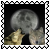 sticker_13598527_43716142