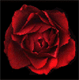 sticker_7287301_27862449