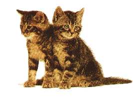 sticker_23019370_46845834