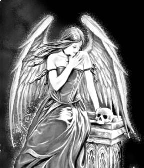 sticker_33837905_47354872