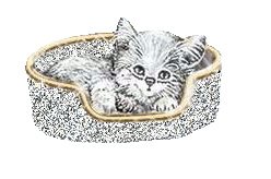 sticker_29846153_44095149