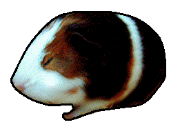 sticker_1196482_13087539