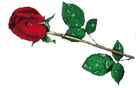 sticker_20089537_33144443