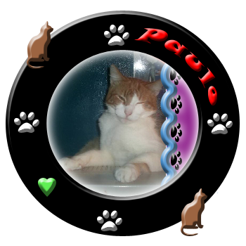 sticker_9703098_28672188