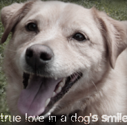 sticker_1286348_47567484