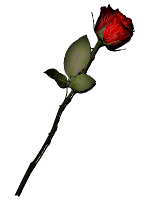 sticker_18649220_30355551