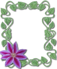sticker_845181_13773126