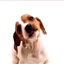 sticker_4920969_47077142