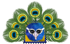 sticker_11954491_46923338
