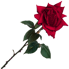 sticker_7666538_47482174