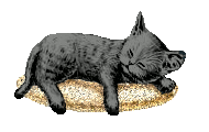 sticker_21284336_47599818