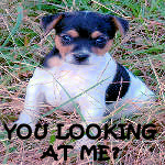 sticker_5573374_25857573