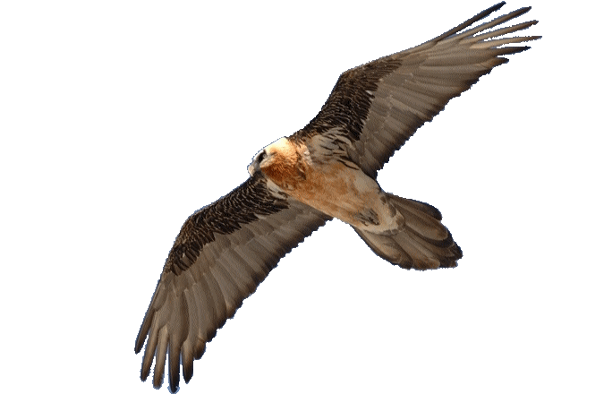 sticker_24553413_42457211