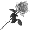 sticker_19649713_47251532