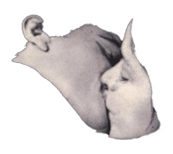sticker_32310918_47498677