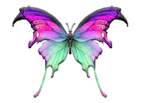 sticker_25333166_44002341