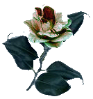 sticker_25812339_47589083