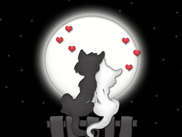 sticker_7063670_11776501