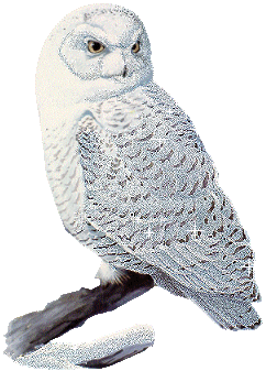 sticker_9660774_47179490