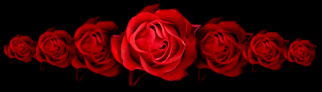 sticker_33185428_47226712