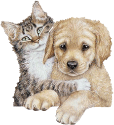 sticker_1286348_47567503