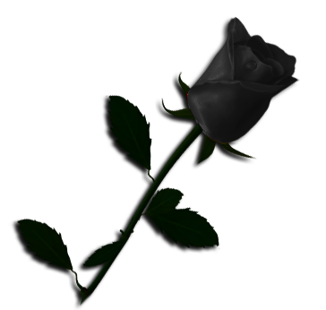 sticker_12637227_47469402