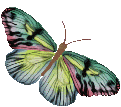 sticker_60309923_60
