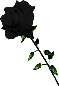 sticker_257453_801815