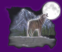 sticker_12417504_21631102