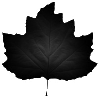 sticker_15771893_46311502