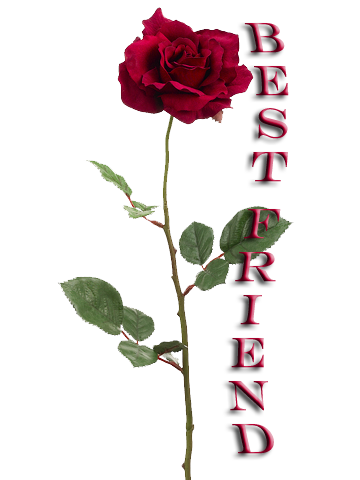 sticker_11556973_47406044