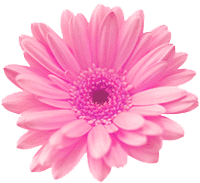 sticker_12306786_46613529