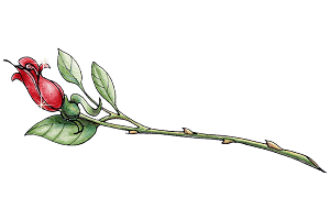 sticker_27863792_39463412