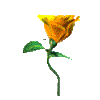 sticker_21033724_36222225
