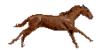 sticker_16421175_38793060