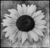 sticker_12517070_26034286