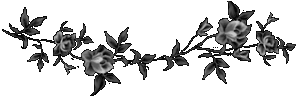 sticker_11587050_47599182