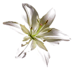 sticker_8929946_21734999
