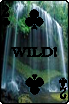 sticker_22933190_41053236