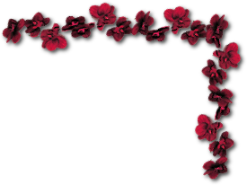 sticker_21284336_47599580