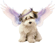 sticker_30676001_45827899