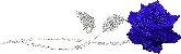 sticker_34157081_47345243