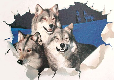 sticker_12417504_19255493