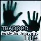 sticker_22274669_45893450