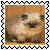 sticker_11954491_40308856