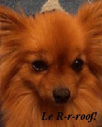 sticker_14085606_29079498