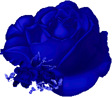 sticker_21284336_41517846